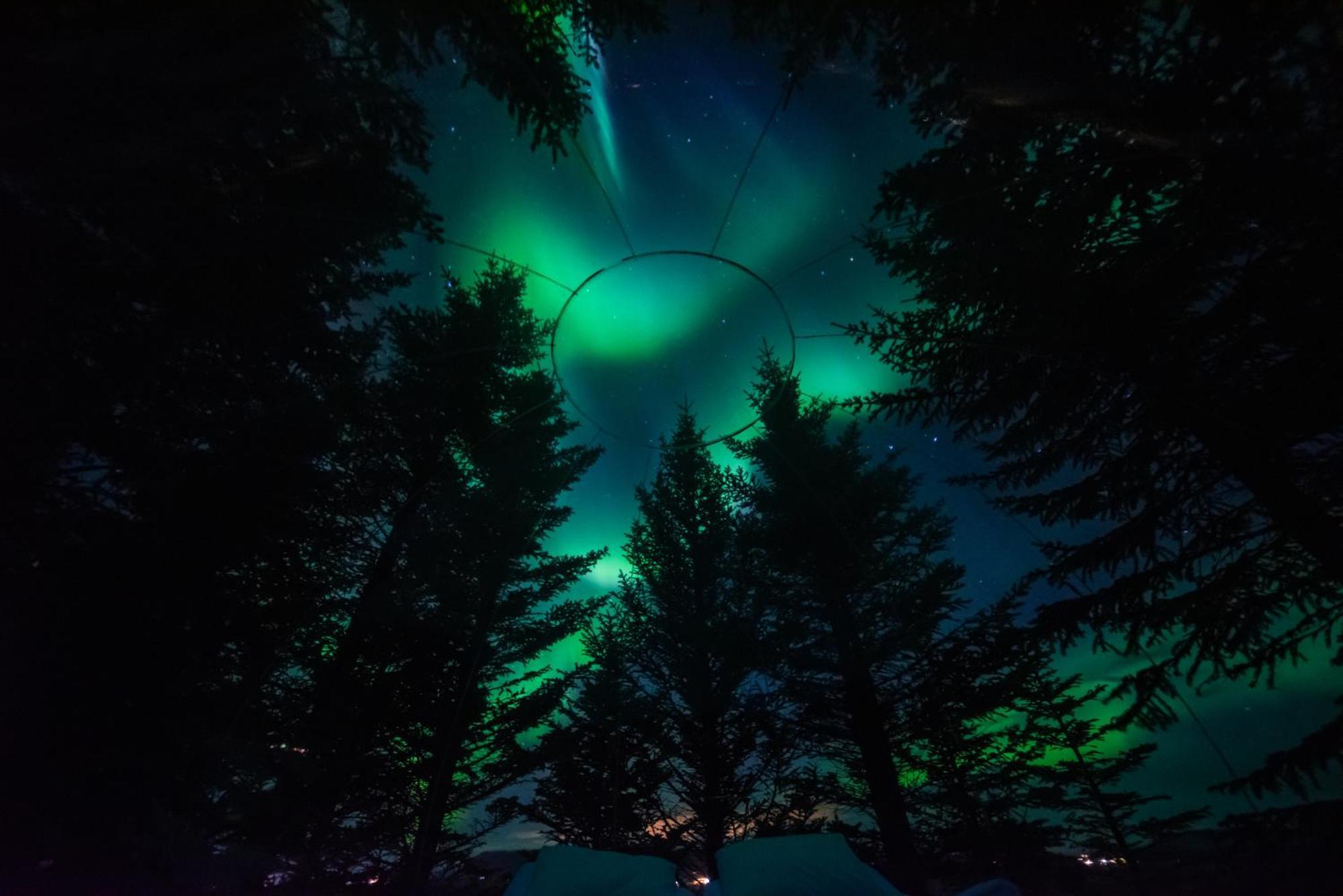 Buubble Hotel - Oelvisholt Selfoss Ngoại thất bức ảnh