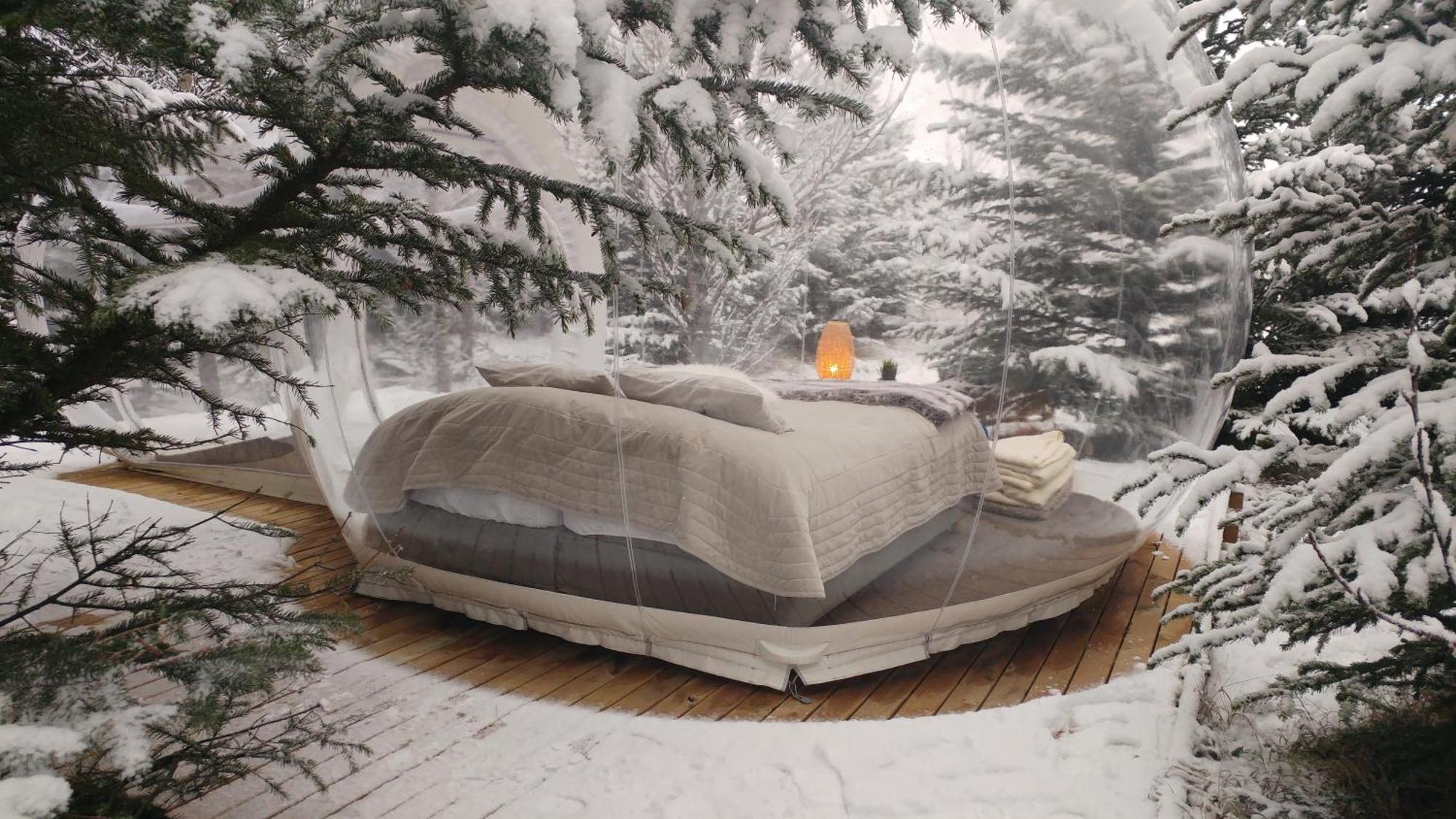 Buubble Hotel - Oelvisholt Selfoss Ngoại thất bức ảnh